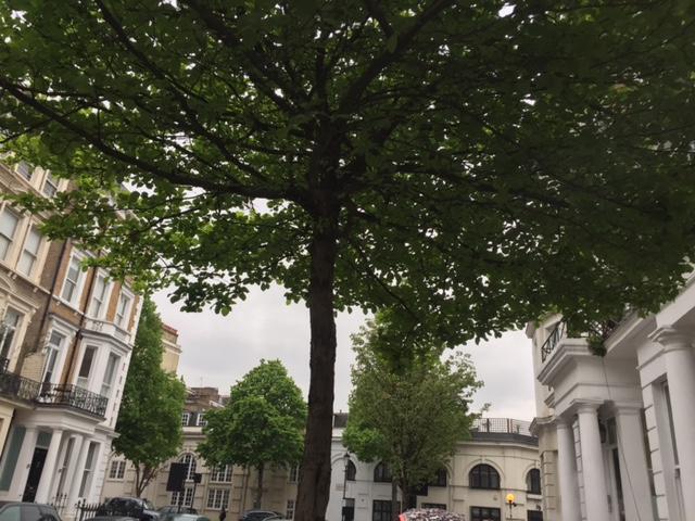 Kensington Rooms And Apartments London Exterior photo